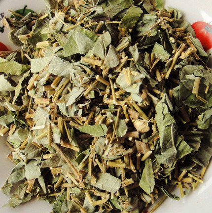 金錢草(大葉)