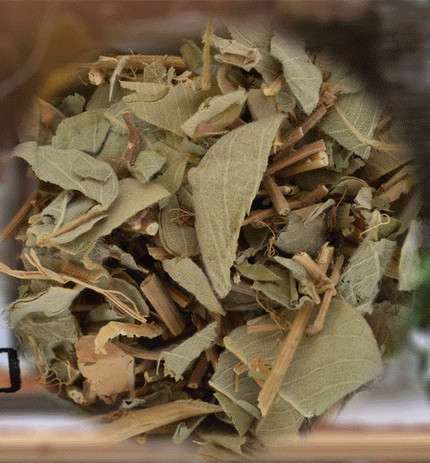 金錢草(大葉)